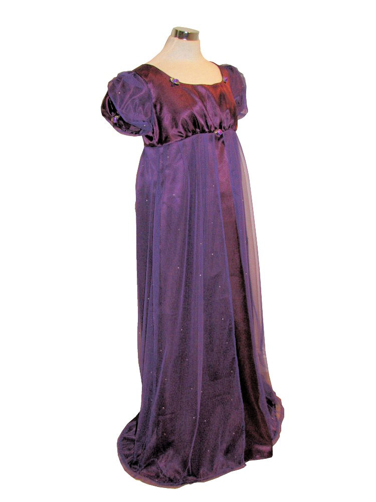 Ladies 19th Century Jane Austen Regency Evening Ball Gown size 12 - 14 Image